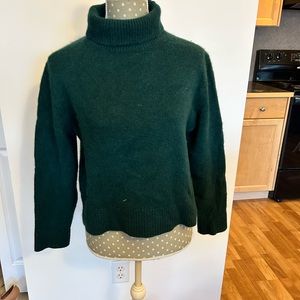 Aritzia Wilfred Cashmere Turtleneck in Scarab